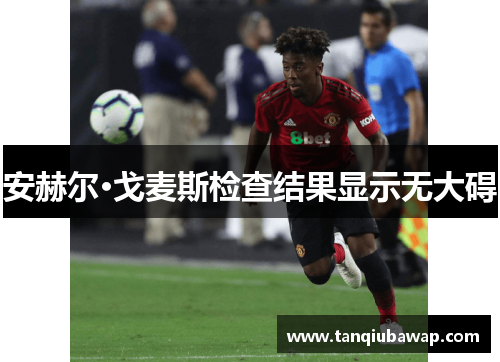 安赫尔·戈麦斯检查结果显示无大碍