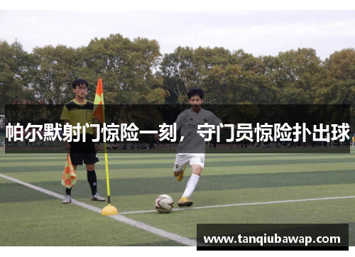 帕尔默射门惊险一刻，守门员惊险扑出球