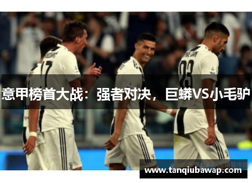意甲榜首大战：强者对决，巨蟒VS小毛驴